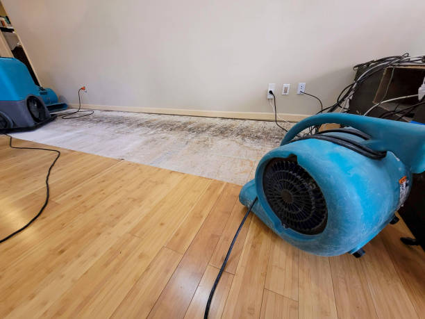 Professional Basement Flood Cleanup technician working in Eugene, MO